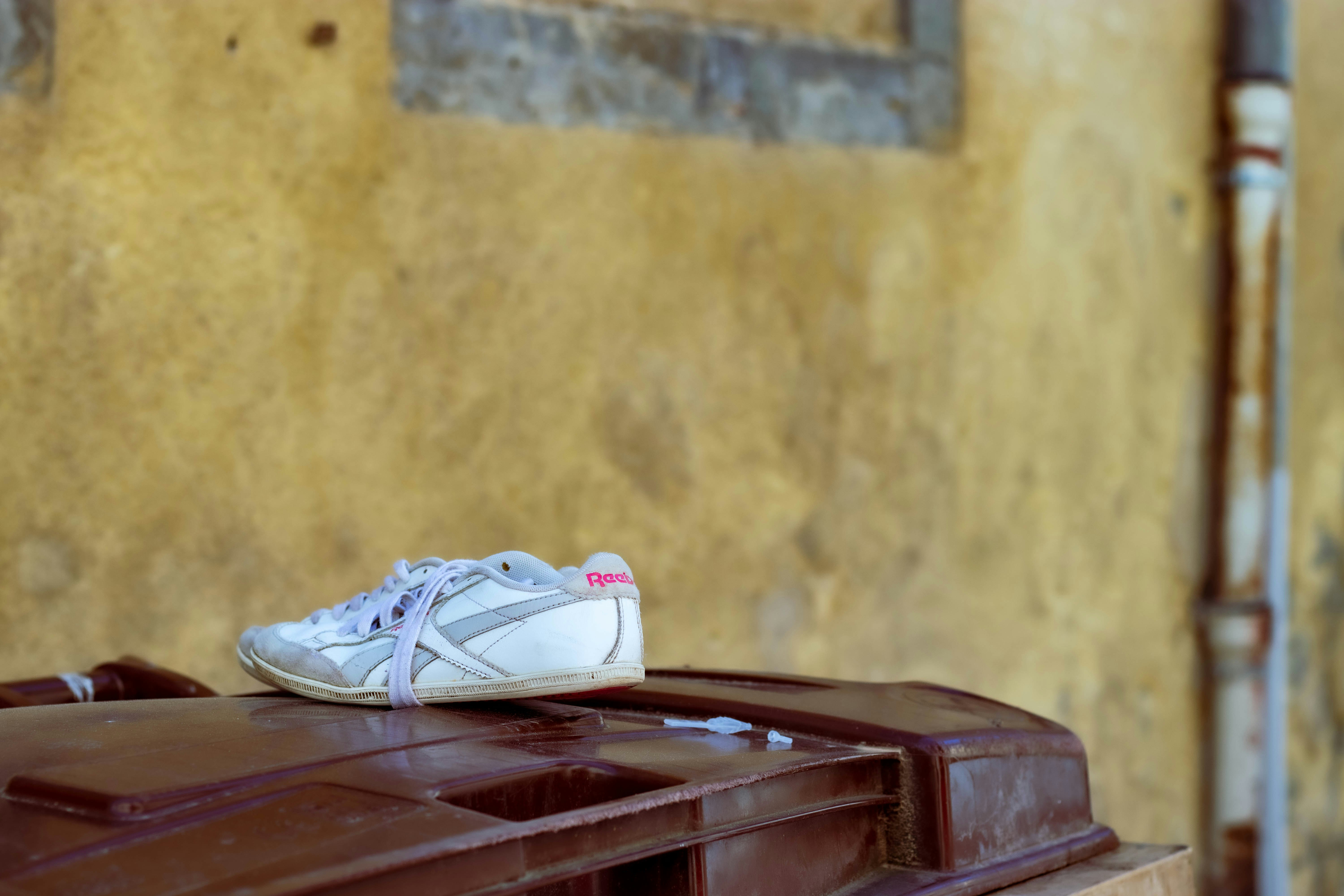 unpaired white and gray Reebok shoe on brown box